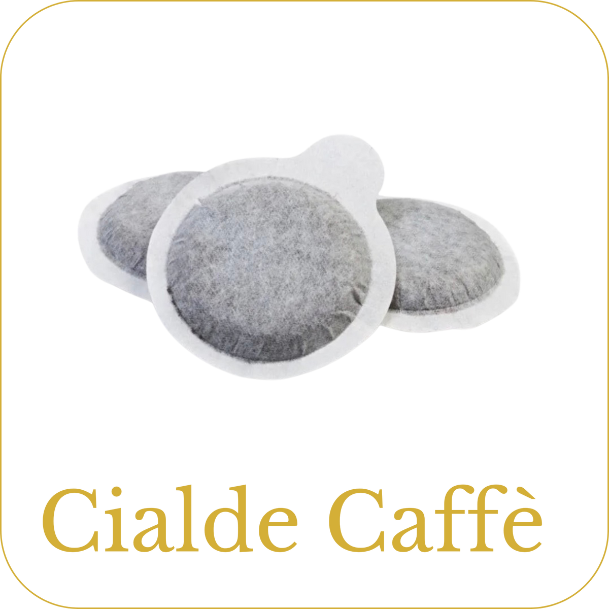 Cialde