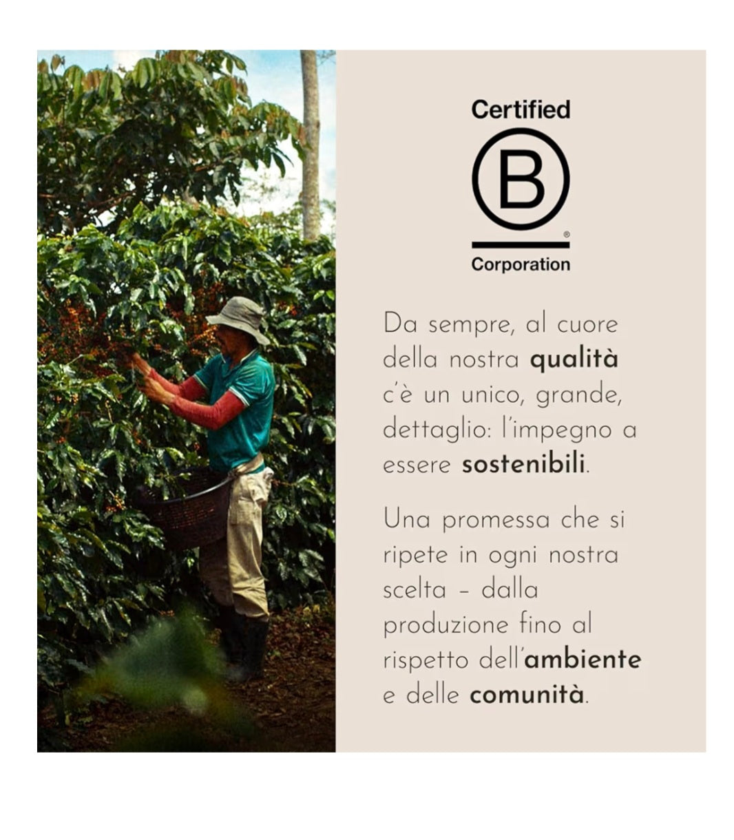 Illy forte compatibile in alluminio nespresso 10pz